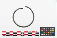 Foto von Bronzearmreif (NHMW-PRAE-025218)
